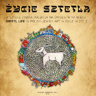 ŻYCIE SZTETLA W SZTUCE ŻYDÓW POLSKICH W XX W. ŻYCIE SZTETLA W SZTUCE ŻYDÓW POLSKICH W XX W.