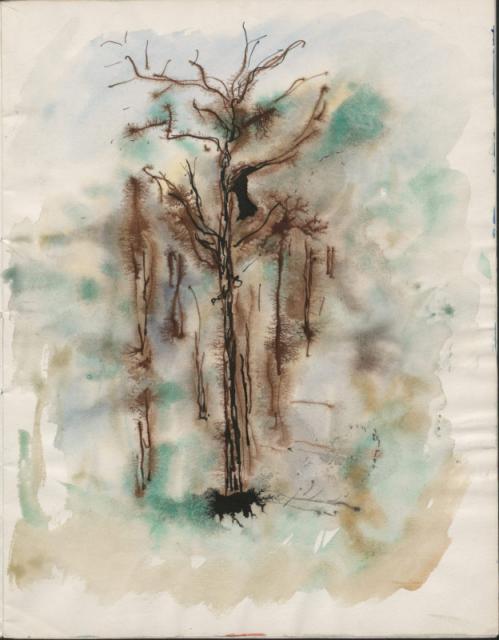 Bez tytułu, Paryż 1964<br>akwarela, tusz<br>31,1 x 24,2 cm